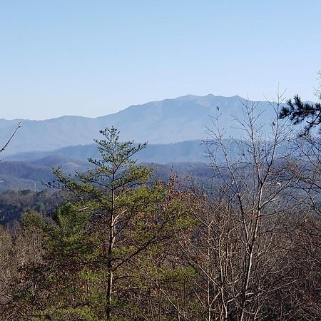 Lazy Bear Cabin Sevierville Exterior foto
