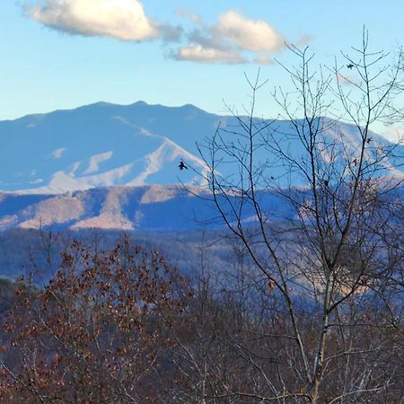 Lazy Bear Cabin Sevierville Exterior foto
